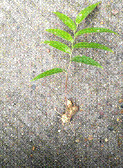 IMG_20180713_020430 IMG_20180713_020430